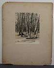 Unsigned W H Mackey Photograph Winter Scene Birch Trees