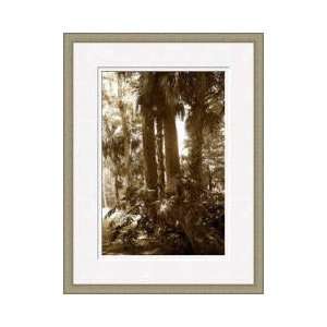  Tropical Garden 2 Framed Giclee Print