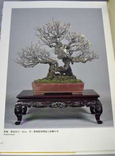 Japan KUNIO KOBAYASHI Bonsai Geijutsu WORKS Photo Book  