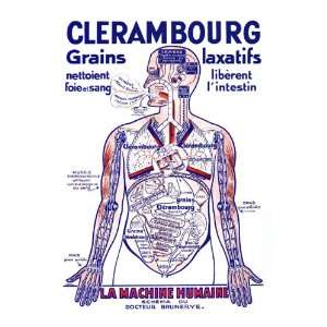  Clerambourg Grains Laxatifs 20x30 Canvas