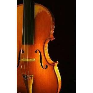 Close up of Violin   Peel and Stick Wall Decal by Wallmonkeys  