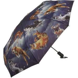  Raining Cats and Dogs Compact Folding Umbrella Everything 