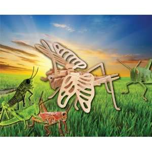  Puzzled Grasshopper 3D Natural Wood Puzzle Toys & Games