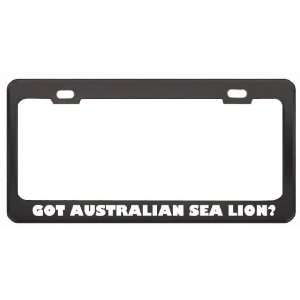 Got Australian Sea Lion? Animals Pets Black Metal License Plate Frame 