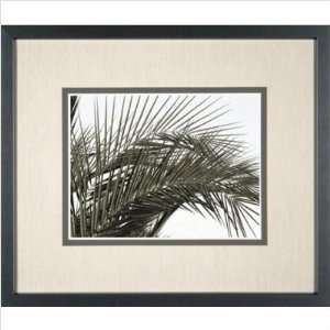  Phoenix Galleries HP804 Palm Leaf 4 Framed Print