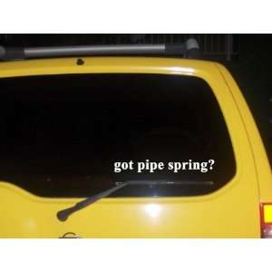  got pipe spring? Funny decal sticker Brand New 
