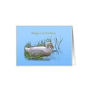  93rd Birthday Card with Pekin Duck Card Toys & Games