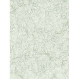   Wallcovering the New Look Rice Paper NL6677