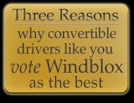 Three Reasons Why Customers Vote Windblox as the Best