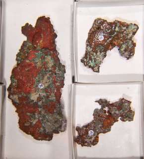 Attractive, fast selling specimens of crystallized arborescent copper