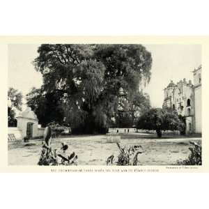 1924 Print Churchyard Santa Maria Tule Cypress Clifton Adams Mexico 