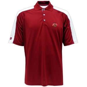 Maryland Force Polo Shirt (Team Color) 