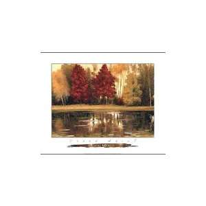  Still Waters Poster Print