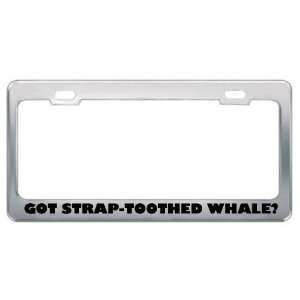 Got Strap Toothed Whale? Animals Pets Metal License Plate Frame Holder 
