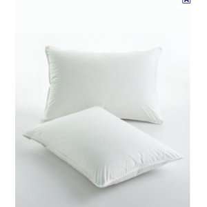  Charter Club Allergen Barrier Standard Queen Pillow 