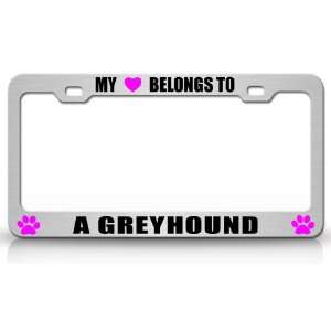 MY HEART BELONGS TO A GREYHOUND Dog Pet Steel Metal Auto License Plate 