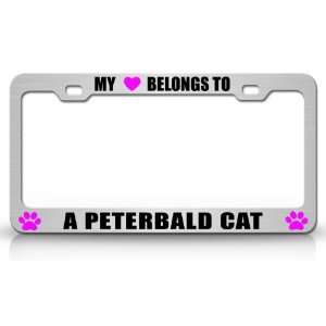 MY HEART BELONGS TO A PETERBALD Cat Pet Steel Metal Auto License Plate 