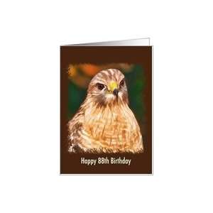  Birthday, 88th, Red shouldered Hawk Card Toys & Games