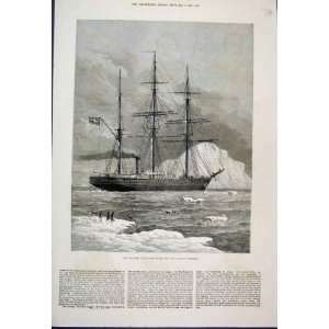   Swedish Artic Ship Vega Icebergs Penguin Old Print