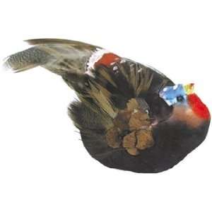  Bird Turkey 2 1/2 Feather, Brown/Red/Blue/White