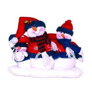    MLB Tabletop Snow Family   St. Louis Cardinals