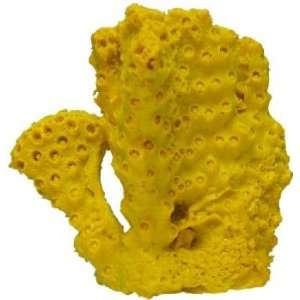  Reef Builder Coral   Yellow   Size 4.5 x 5.5 x 5 Kitchen 