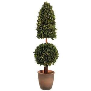  29 Preserved Boxwood Pyramid/Ball Topiary in Pot Green 