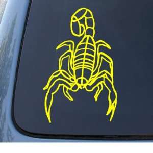  SCORPION   Insect Bug Spider   Car, Truck, Notebook, Vinyl 