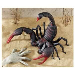  Exotic Classic Desert Scorpion Statue Home Gallery Museum 