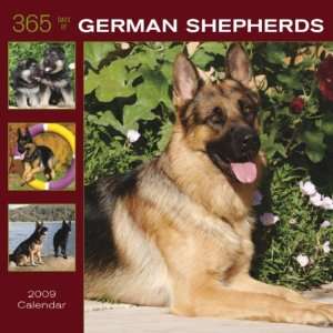 German Shepherds 365 Days 2009 Square Wall Calendar BrownTrout 