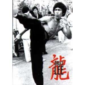 Bruce Lee High Kick    Print 