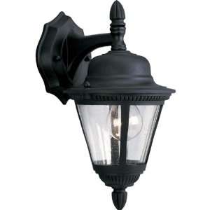 Progress Lighting P5862 31 1 Light Cast Wall Lantern with Clear Seeded 