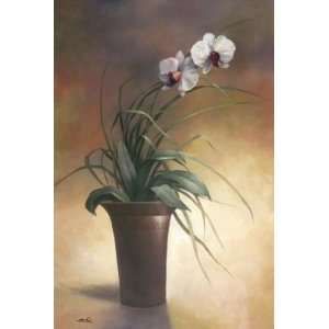  Flowering Orchid I Print   T.C. Chiu (22x28) Everything 