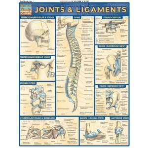   Inc. 9781572226845 Joints amp; Ligaments  Pack of 3