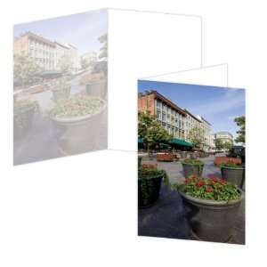 ECOeverywhere Place Jacques Cartier Day Boxed Card Set, 12 