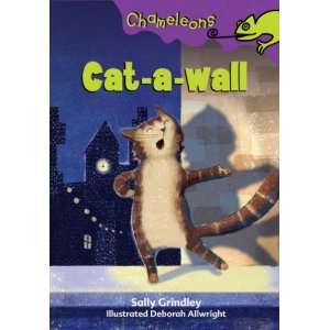    Cat a Wall (Chameleons) (9780713687514) Sally Grindley Books