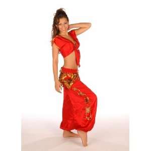 Belly Dancer Costume Set  Satin Harem Pants & Hip Scarf Top
