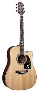   LIMITED EDITION EG50TH   50TH ANNIVERSARY ACOUSTIC ELECTRIC GUITAR