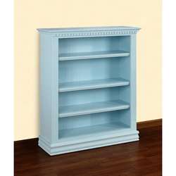 Designer Color French Blue Hand painted Bookcase  