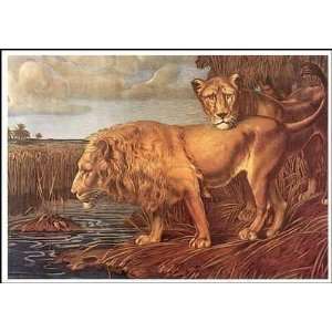  Lion And Lioness    Print