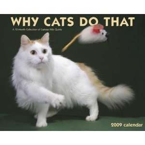  Why Cats Do That 2009 Wall Calendar 13 X 10.5