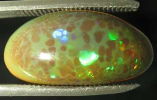 opals are shown dry and 100 % natural pictures and videos are made 