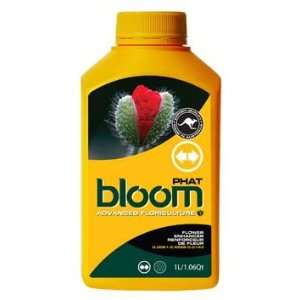  bloom PHAT 2.5L 