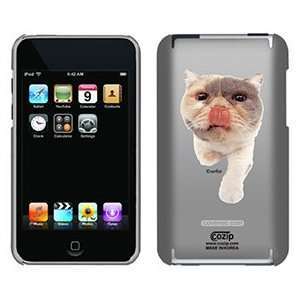  Exotic Shorthair on iPod Touch 2G 3G CoZip Case 