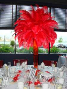 Ostrich Feather Centeriece RENTALS NY & NJ  
