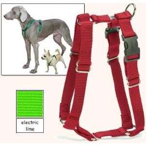 Dog Harness, 5 Way Adjustability for a Perfect Fit (Electric Lime, X 