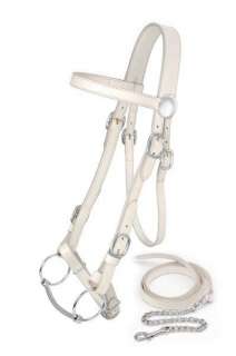 Royal King Draft Show Halter with Lead  