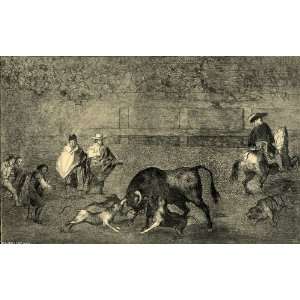   de Goya   32 x 20 inches   Perros al toro 