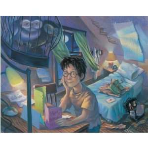  Harry Potter Counting The Days Fine Art Giclee Hand 