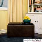  angeloHOME Clarke Brown Renu Leather Double tray Cube 